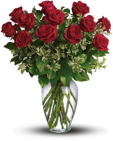 Dozen - Long Stemmed Red Roses