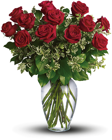 Dozen - Long Stemmed Red Roses