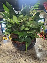 14\" Ceramic Dishgarden