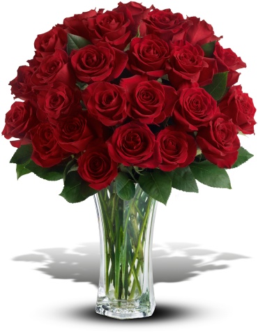 Aversa\'s Love and Devotion - Long Stemmed Red Roses